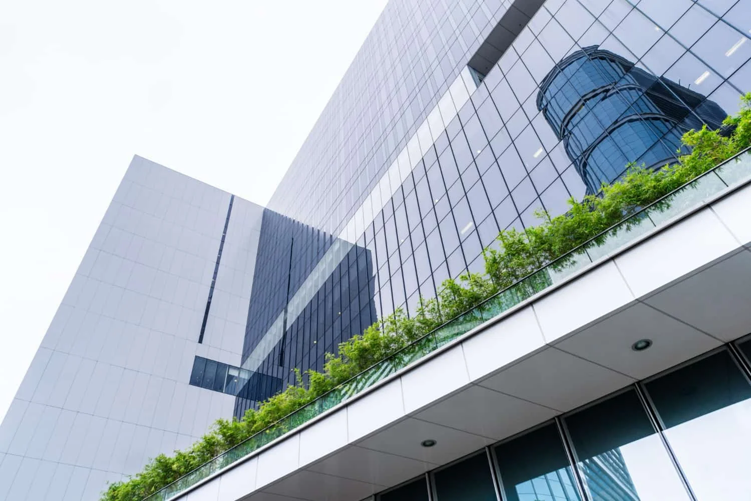 The Professionals In Building Maintenance